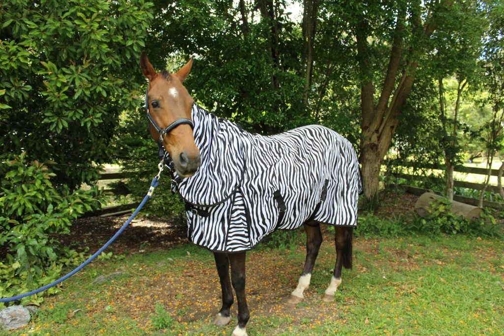 Borraq Full Mesh Zebra Design Very Strong Combo Horse Rug 