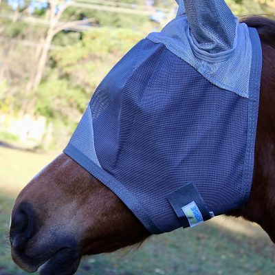 Fly Masks/ Fly Boots