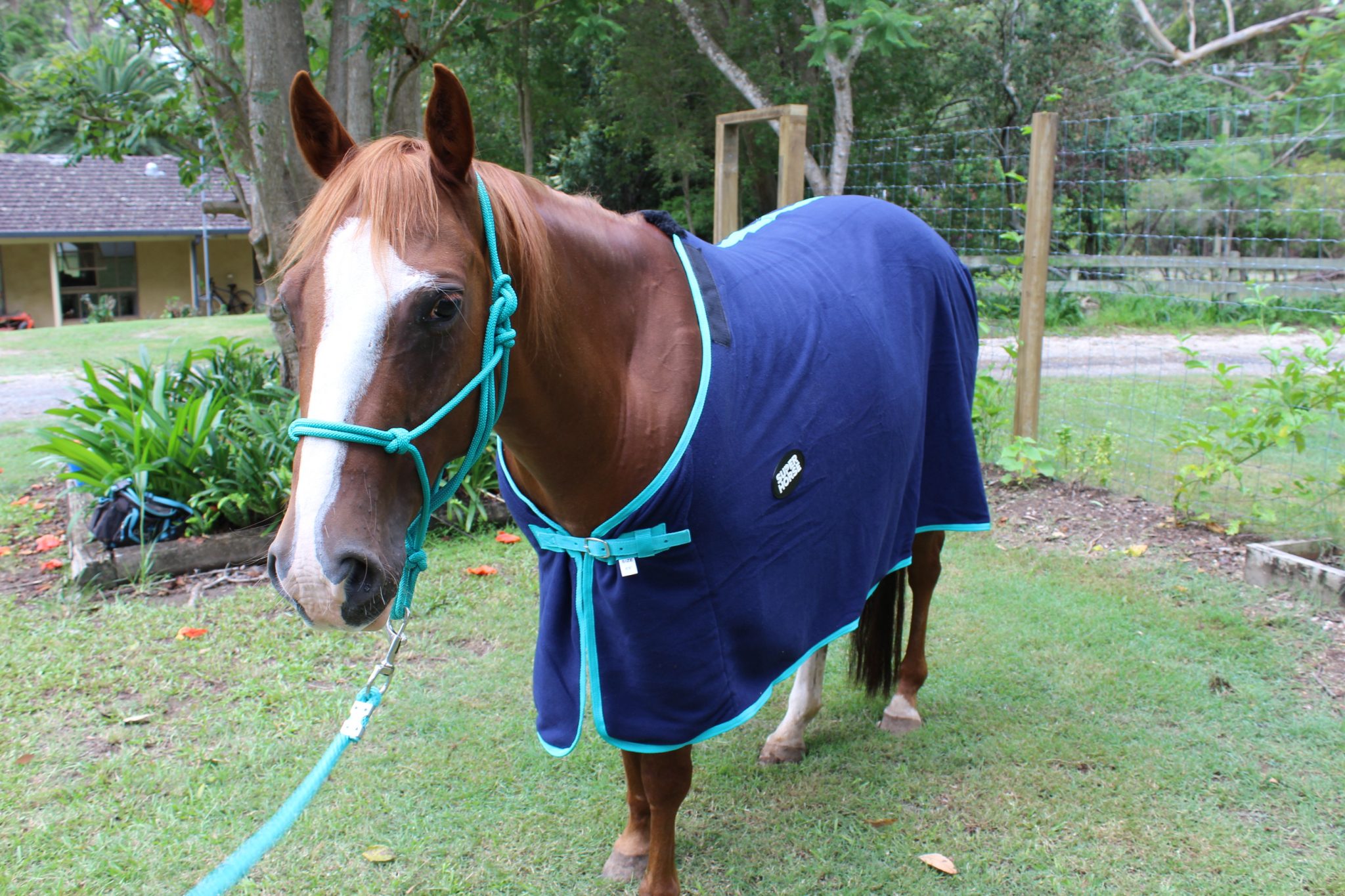 horse-rug-polar-fleece-under-rug-super-horse-saddlery