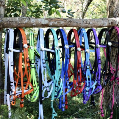 PVC Bridles, Halters, Breastplates and stirrup leathers